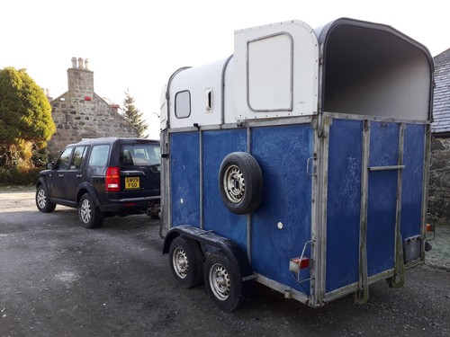 Horse trailer double rice - double,