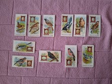 TYPHOO - BRITISH BIRDS & THEIR EGGS x 11  gen FR