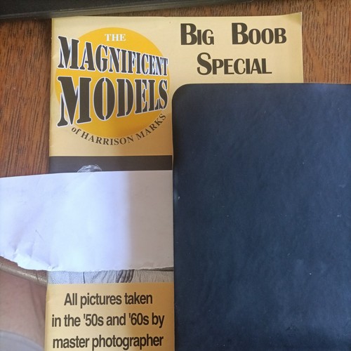Magnificent models of - "magnificent,