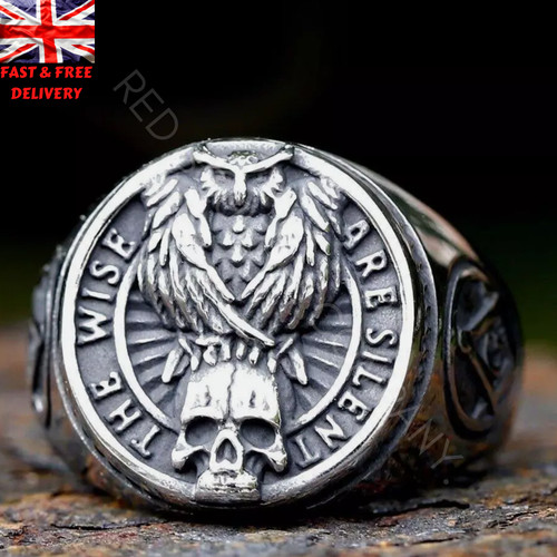 Stainless steel owl skull - stainless,
