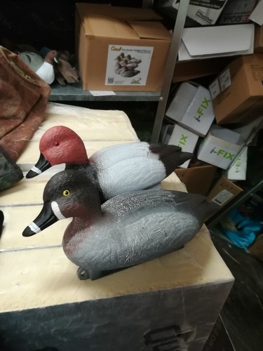 Pochard redhead decoys - pochard/redhead,