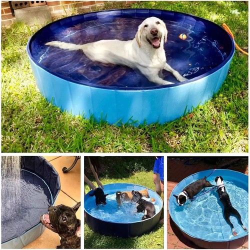 Large pet bath - xx-large, dog