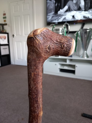 Blackthorn walking stick - stick, fully