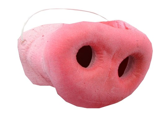 Pig costume nose - costume,