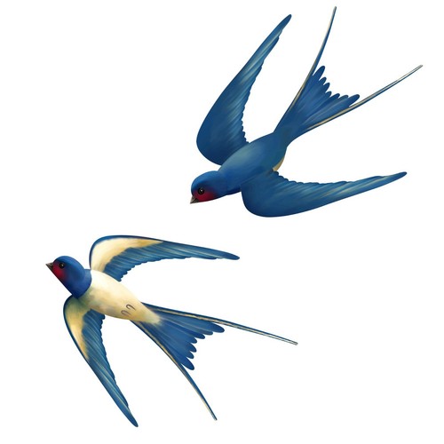 Barn swallow wall art - swallow,
