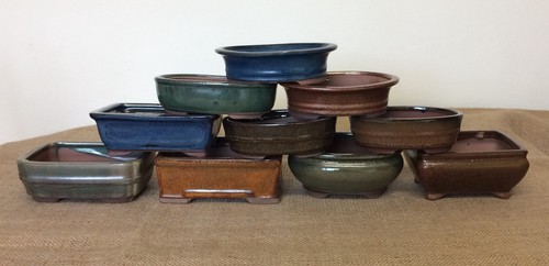 16cm mixed bonsai pots - 16cm,