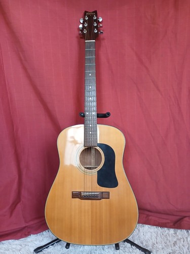 1986 washburn d12 acoustic - 1986, d12-n