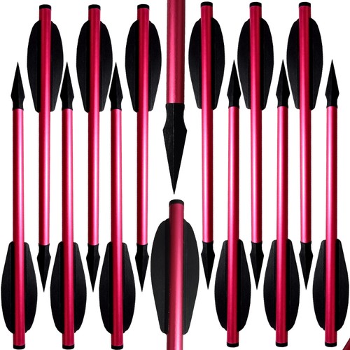 12pcs aluminum arrows - 6.3'',