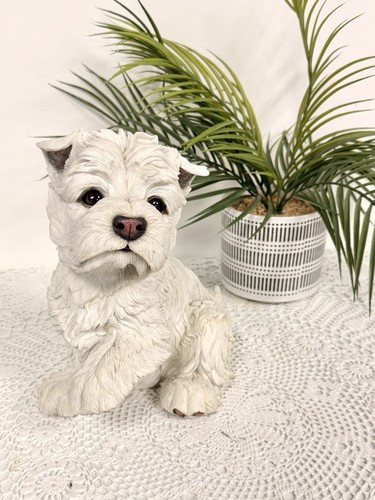 Country artists puppy love - country,