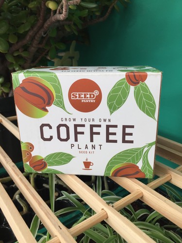 Seed pantry grow your - pantry, own