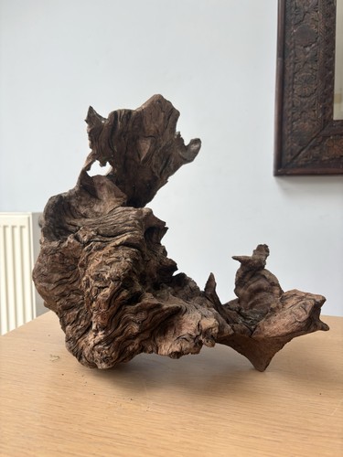 Large bogwood centre piece - large,