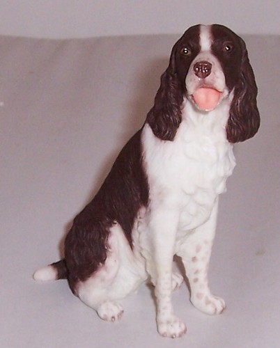 Best breed english - best,