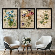 Vintage Botanical Wall Art Set of 3 Prints Nature-Inspired Posters Floral Art