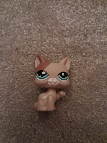 Littlest pet shop shorthair - littlest,