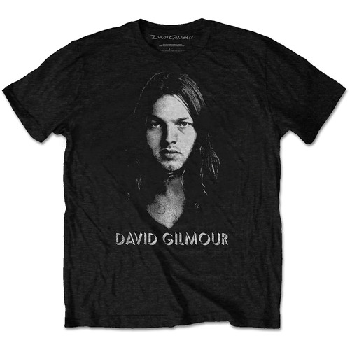Pink floyd david - pink, gilmour