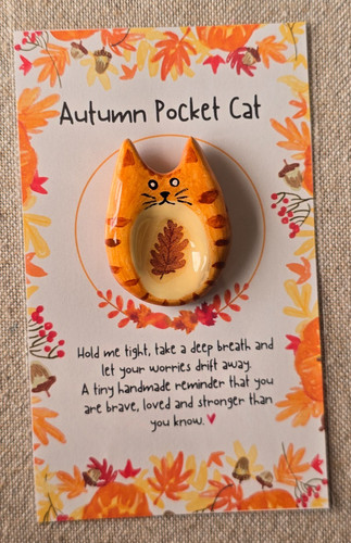 Autumn pocket cat worry - autumn,