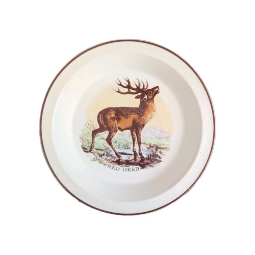 Royal worcester fine - royal,