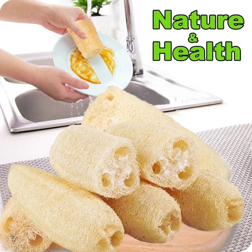 Natural tunisian loofah sponge - loofah,