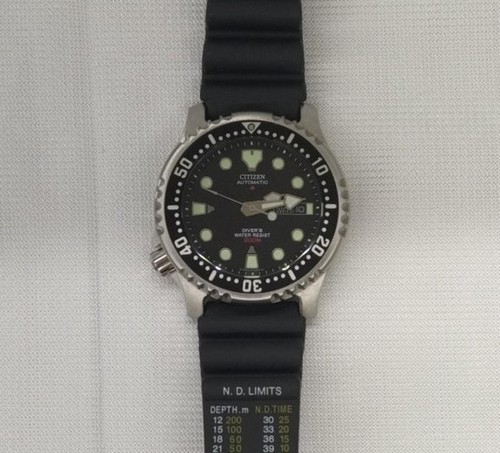 Citizen promaster dier - promaster,