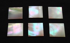 First quality flat GREEN SNAIL