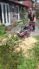Stump Grinder: Tree Stumps