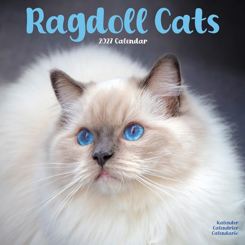 Cats ragdoll 2027 - ragdoll, calendar