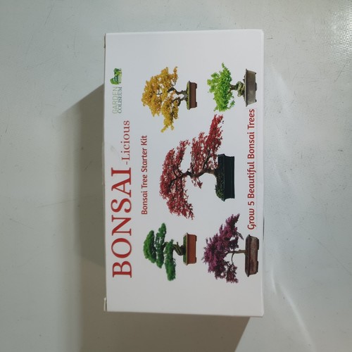 Bonsai tree kit seed - -,