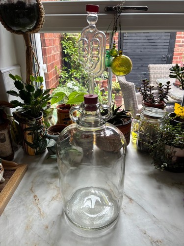 Demijohn wine mead - wine/mead/home, brew