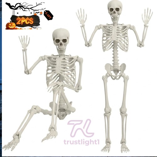 2pack 4ft halloween skeleton - 2pack, 5.4ft