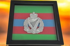 Royal Irish Regiment 3d