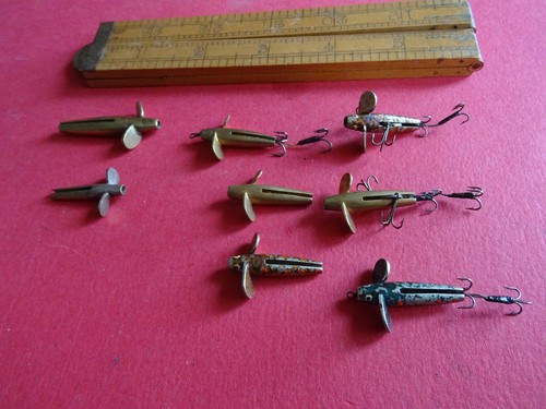 Small victorian william - 6x,