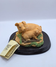 Leonardo Collection Pig