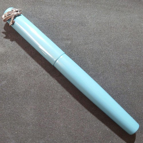 Nakaya fountain pen special - pen,