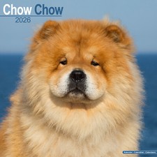 Chow Chow 2026 Calendar | Dog Breed Gift Wall 15% OFF MULTI ORDERS