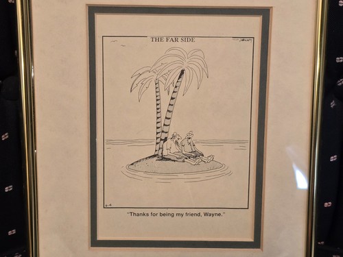 Gary larson the - far, side