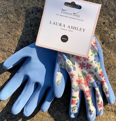 Bnwt pair laura - bnwt,
