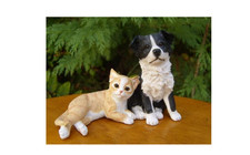 Border Collie with ginger and white cat Best friends Leonardo collection New