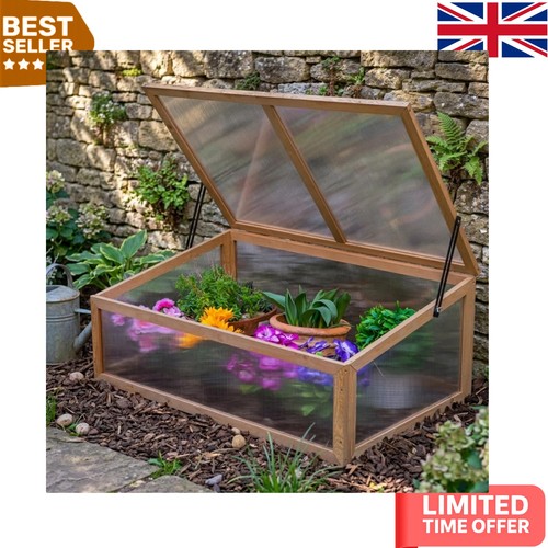 Sturdy wooden plant - plant, frame