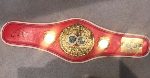 Roy jones jnr signed mini - roy,