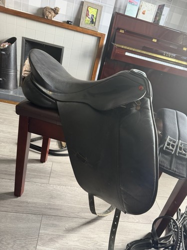 Albion dressage style - dressage, ‘style’