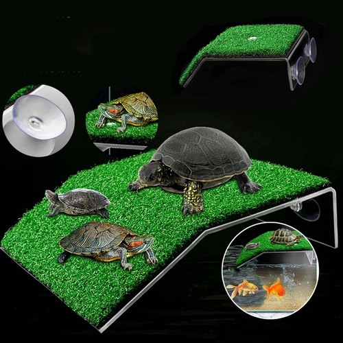 Aquariums basking platform - basking,