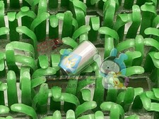 NSR250R Oil Pump Plug - In Stock, Ready to Ship, Genuine Honda, Brand New, M...