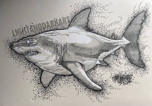 Great white shark jaws sealife - shark,