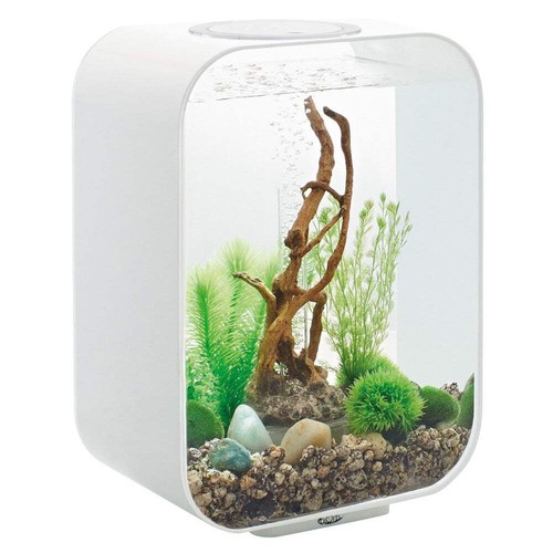 Biorb life aquarium - life, 15