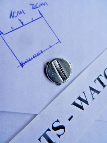 Swatch battery cover irony - battery,