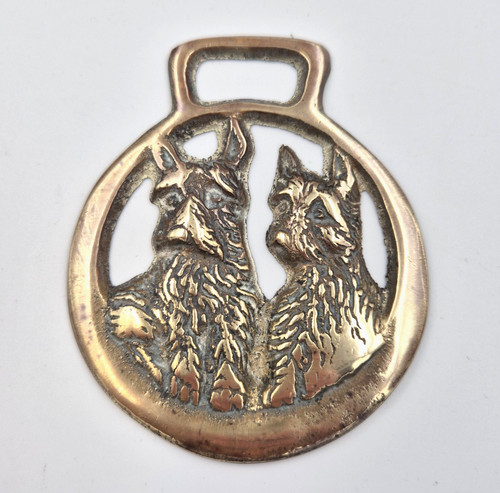 Scottish terrier scottie dogs - terrier,