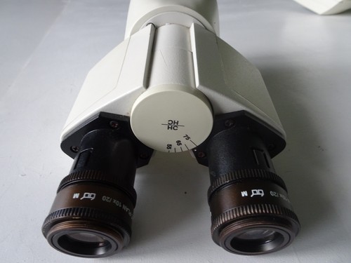 Leica microscope binocular - ,
