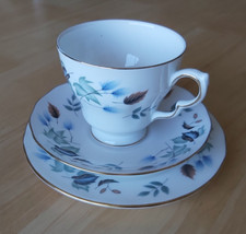 Vintage COLCLOUGH bone china LINDEN pattern  TRIO TEA CUP & SAUCER VGC 