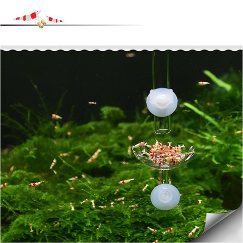 Durable acrylic shrimp - durable,