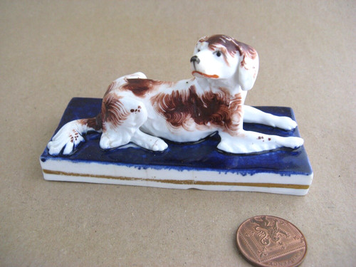 Staffordshire spaniel dog - ,